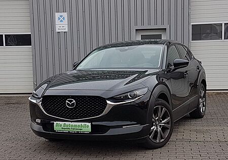 Mazda CX-30 2.0 Edition 100/ LEDER / NAVI / KAMERA