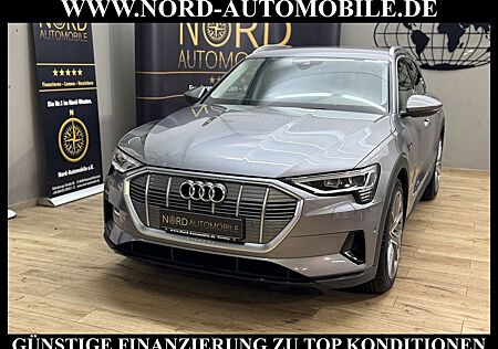 Audi e-tron QU. Teilleder/Kamera/21/Navi/LED/UPE83/