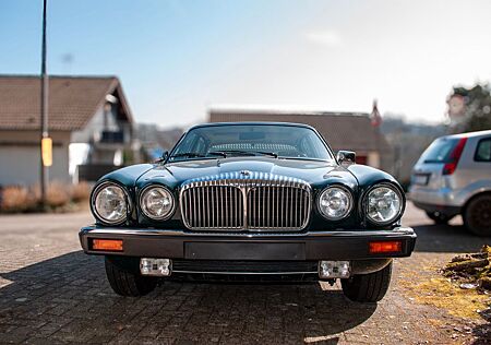 Jaguar Daimler XJ 12 Serie III Double Six