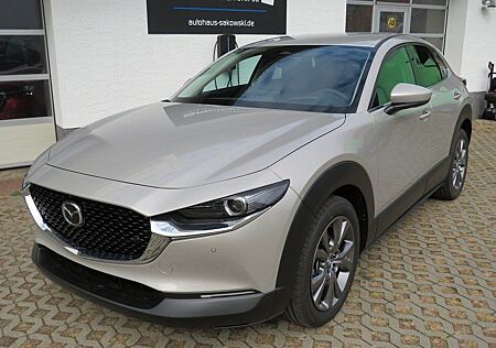 Mazda CX-30 AUT.X NAVI MATRIX LED BOSE HEAD UP 360° KA