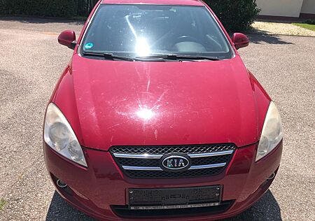 Kia ANDERE Ceed Basis neue Kette