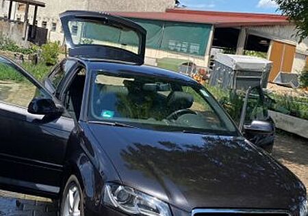 Audi A3 1.6 TDI Ambition