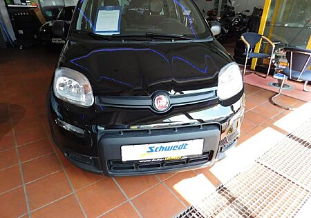 Fiat Panda Pandina Cross