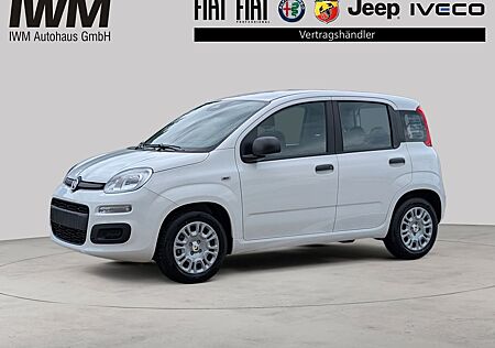 Fiat Panda Hybrid 1.0 GSE