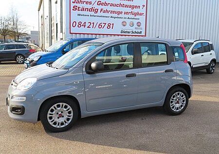 Fiat Panda Easy 1,0 70 PS MHYB Modagrau