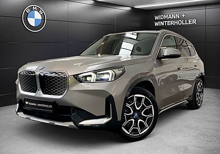 BMW iX1 xDrive30 FLA ACC ParkAss. RFK KlimaA DAB