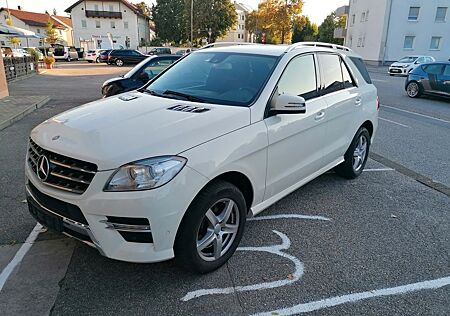 Mercedes-Benz ML 250 CDI BlueTec AMG AHK 3,5 Tonne NAVI EURO 6