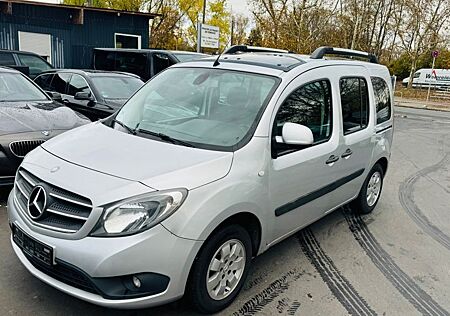 Mercedes-Benz Citan 1,5 Euro 6 Panorama Klima PDC