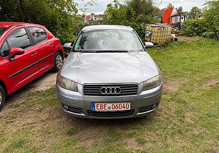 Audi A3 1.9 TDI (DPF) Ambiente---01704684029--