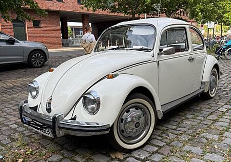 VW Käfer Volkswagen
