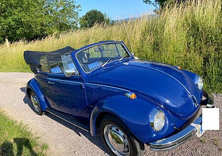 VW Käfer Volkswagen