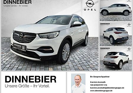 Opel Grandland X Grandland Innovat**Kamera*AHK*Totwinkelassistent