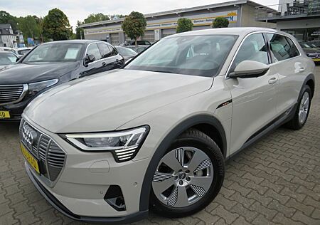 Audi e-tron 55 quattro *MATRIX LED *AHK *360 GRAD