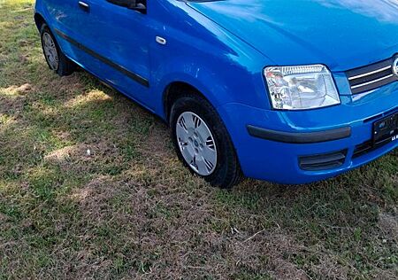 Fiat Panda 1.2 8V TÜV Neu Ganzjahresreifen Neu