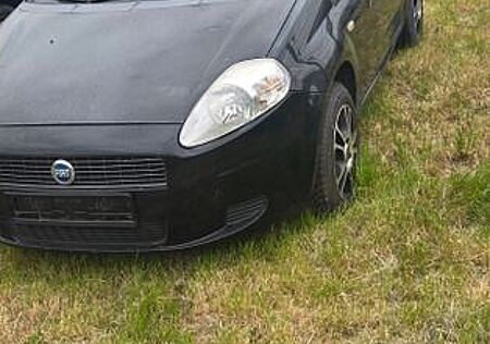 Fiat Punto 1.2 65 PS mit neuem Tüv