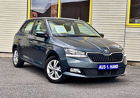 Skoda Fabia Ambition 1.Hand SHZ PDC SMARTLINK ACCRADAR