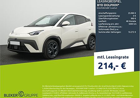 BYD DOLPHIN SURF Comfort