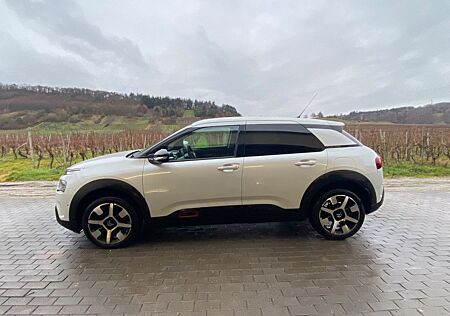 Citroën C4 Cactus PureTech 110 S&S Shine EAT6 Shine