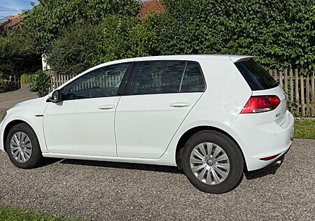 VW Golf Volkswagen VII 1.6 TDI BMT CUP ink.STANDHEIZG,Navi etc