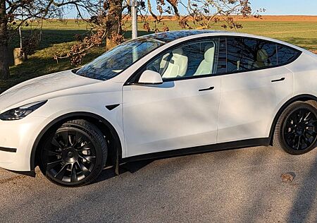 Tesla Model Y Long Range Dual Motor AWD Long Range