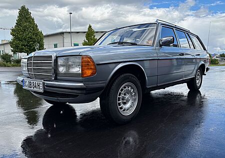 Mercedes-Benz 230 230TE