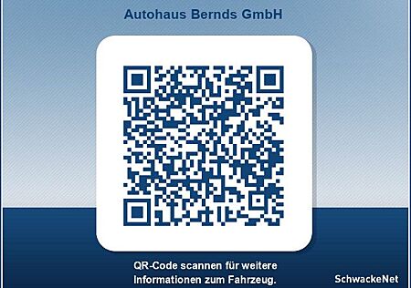 Hyundai Kona EV eCall Notrufsystem KLIMAAUTO. DAB+ Radio