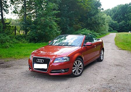 Audi A3 1.6 TDI Ambition Cabriolet Ambition / HU NEU!