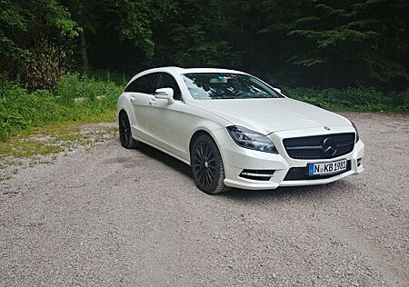 Mercedes-Benz CLS 500 Shooting Brake CLS 500 4MATIC Shooti...