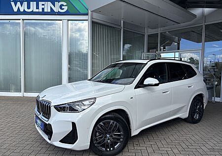 BMW X1 23d M-Sport xDrive Pano el.Heckklappe ACC CAM