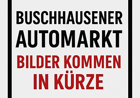 Skoda Fabia Combi Clever*DSG*16 zoll Aluf.*55500KM*PDC