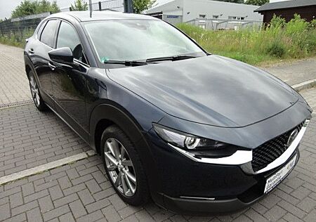 Mazda CX-3 CX-30 Selection AWD,Navi,LED,Kamera