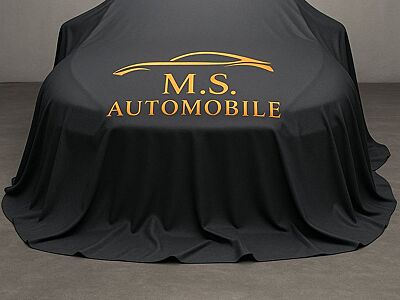 Tesla Model X LUDICROUS Performance