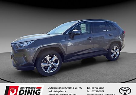 Toyota RAV 4 Hybrid 4x2 Team Deutschland 2.5 El. Pano B
