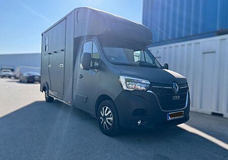 Renault Master Hagstedt&Roos Stablehopper Pferd Vieh