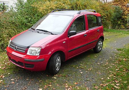 Fiat Panda gebraucht kaufen Fiat Panda ,Erstzul.2008 ,Tüv neu, Klima , Servo