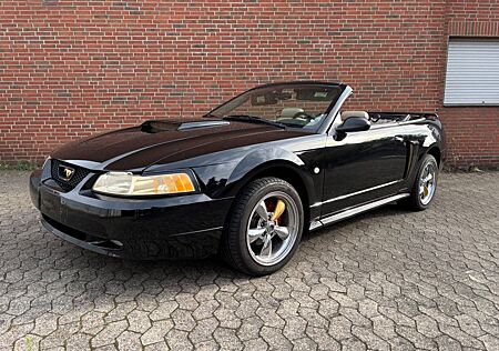 Ford Mustang Cabrio V8 Handschalter
