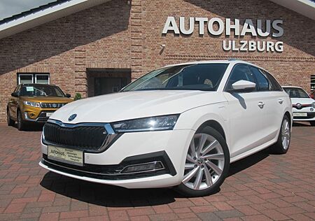 Skoda Octavia Combi DSG Style iV/Navi/LED/Kamera/Stand