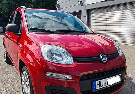 Fiat Panda 1,2 KLIMA/Tüv neu/