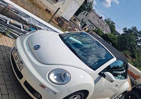 VW Beetle Volkswagen