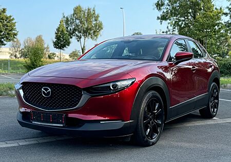 Mazda CX-3 CX-30 Selection HIBRYD*NAVI*HUD*360 KAMERA*SHZ