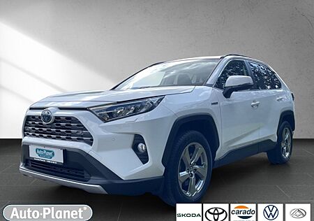 Toyota RAV 4 RAV4 2.5 Hybrid 4x4 Team D *2XPDC*BLIS*DAB*LED*