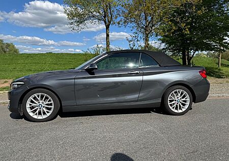 BMW 218i Cabrio Advantage Advantage