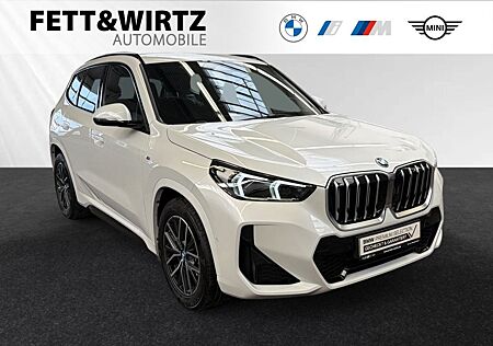 BMW X1 sDrive18i M Sportpaket|Parkass.|18"LMR