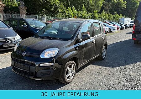 Fiat Panda Easy. Wenig Kilometer