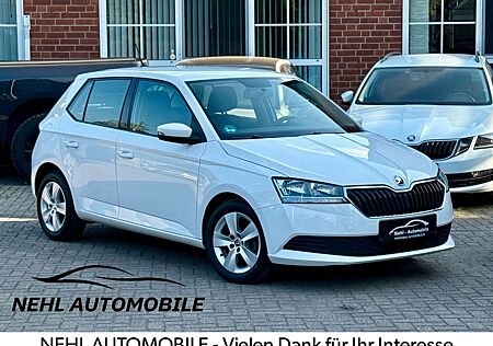 Skoda Fabia 1.0*TÜV NEU*KLIMA*PDC*FREISPRECH*