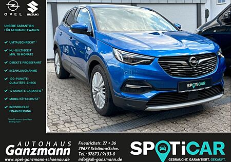Opel Grandland X Grandland Dynamic 1.2 Turbo Navi 360 Kamera LED