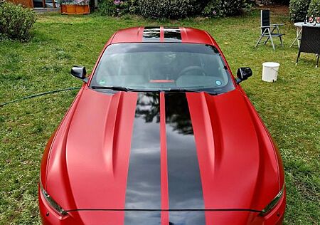 Ford Mustang matt rot