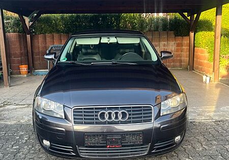 Audi A3 8P 1.9 TDI sparsam & scheckheftgepfleg