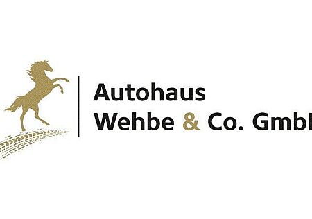 VW Amarok Volkswagen Aventura 4M Leder StandHz Navi Xenon RCam