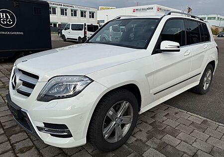 Mercedes-Benz GLK 200 CDI AMG SPORT-PAKET/Bi-XENON/NAVI/AHK/19